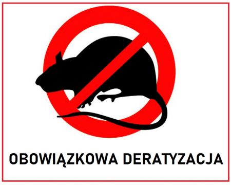 Deratyzacja w mieście