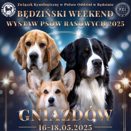 Wystawy Psów Rasowych