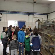 Dzień biały w Szkole Podstawowej nr 3 (19)