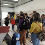 Dzień biały w Szkole Podstawowej nr 3 (2)