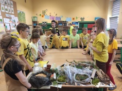 Dzień zółty w Szkole Podstawowej Nr 1 (8)