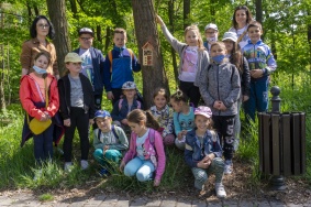 Dzień zielony (4)
