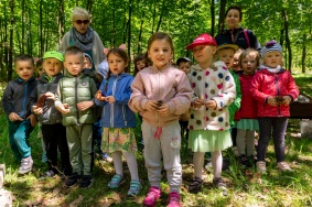 Dzień zielony (1)