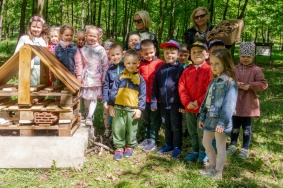 Dzień zielony (2)