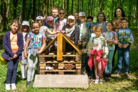 Dzień zielony (3)