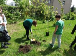 Dzień zielony - SP3 (13)