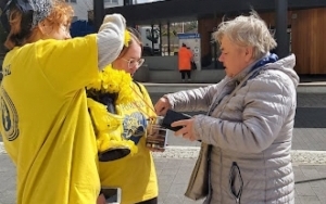 „Święto żółtego żonkila” w Wojkowicach (9)