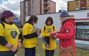  „Święto żółtego żonkila” w Wojkowicach (8)