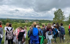 Tydzień Ekologiczny 