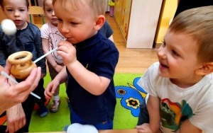 Tydzień Ekologiczny 