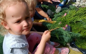 Tydzień Ekologiczny 