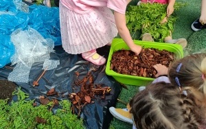 Tydzień Ekologiczny 